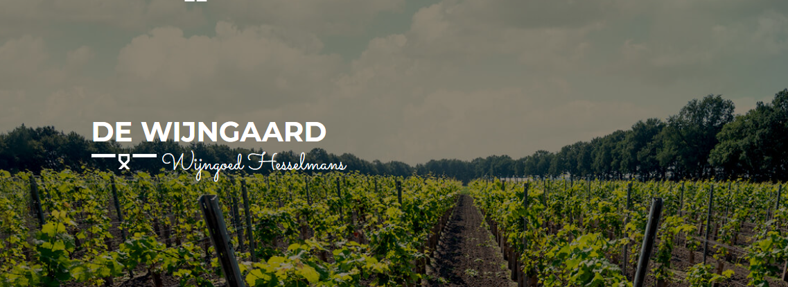 Wijnproeverij in de wijngaard